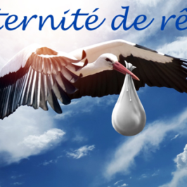 Atelier spécialisé PTR : Catastrophes autour de la maternité