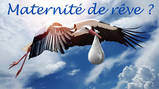 Atelier spécialisé PTR : Catastrophes autour de la maternité