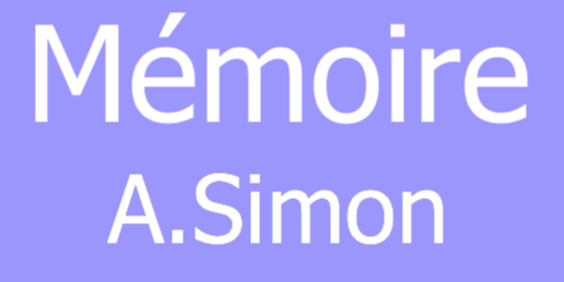 Mémoire de Master en Sciences psychologiques - Amélie Simon